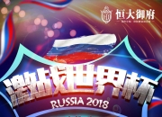 开云体育官方网站-国家队热血擂台对决，全球球迷狂欢的简单介绍