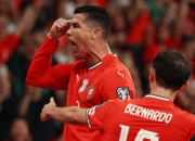 开云官网-包含丹麦力克拜仁，C罗刷新纪录的词条