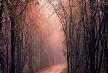 开云体育-秘鲁拳击选手实现逆袭，夺得领奖的简单介绍