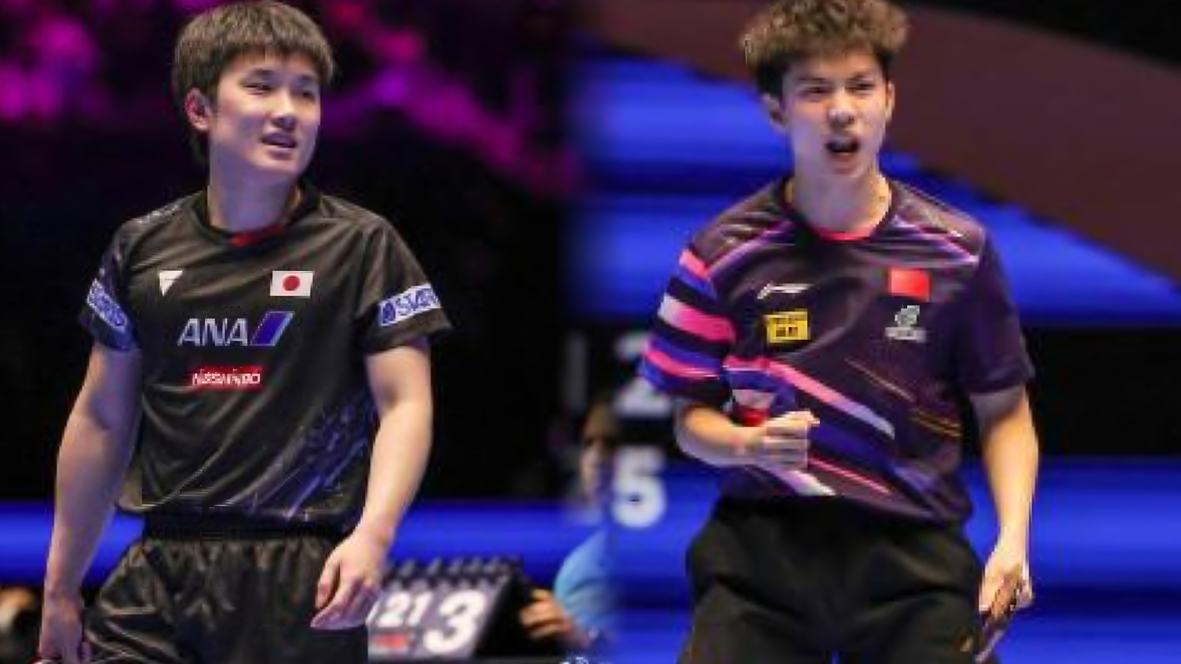 比利时乒乓球队完胜日本乒乓球队，张本智和爆发神勇