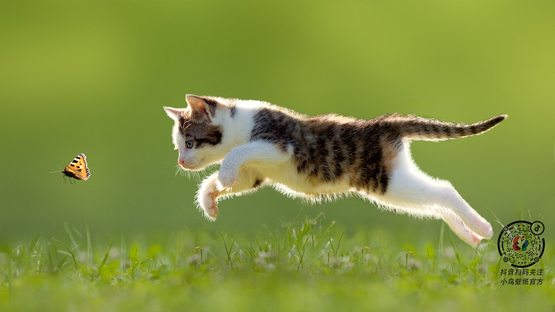 范弗利特一剑封喉！勇士团队压制力令爵士窒息